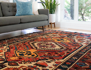 clean carpet